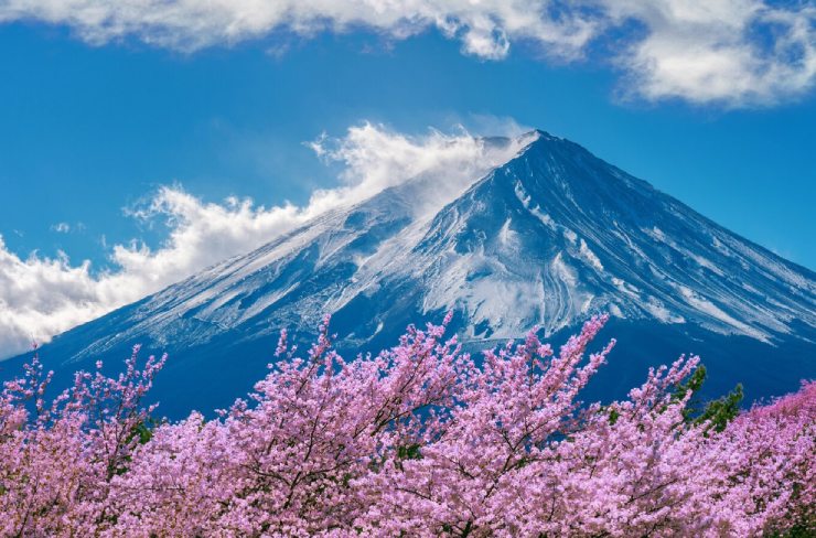 日本 (1) 日本 (1)