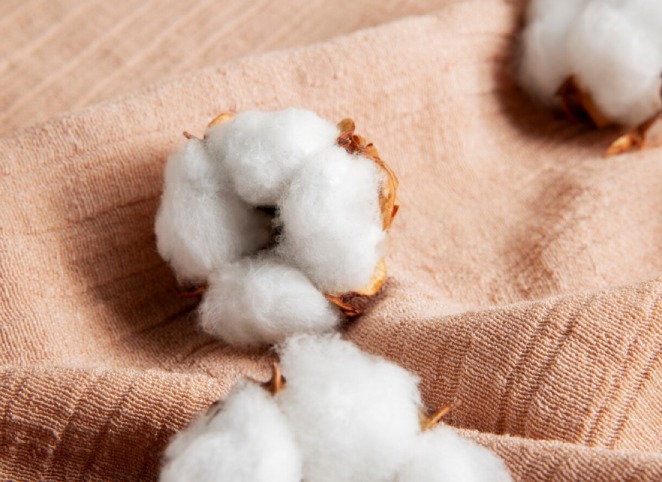 cotton cotton