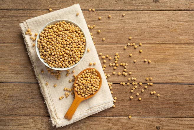 soybean imports,crude oil imports,iron ore ilmports soybean imports,crude oil imports,iron ore ilmports
