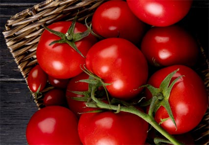 tomato export,tomato exports,tomato exporters tomato export,tomato exports,tomato exporters