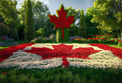 canada trade data,trade data,canada import data,canada export data canada trade data,trade data,canada import data,canada export data