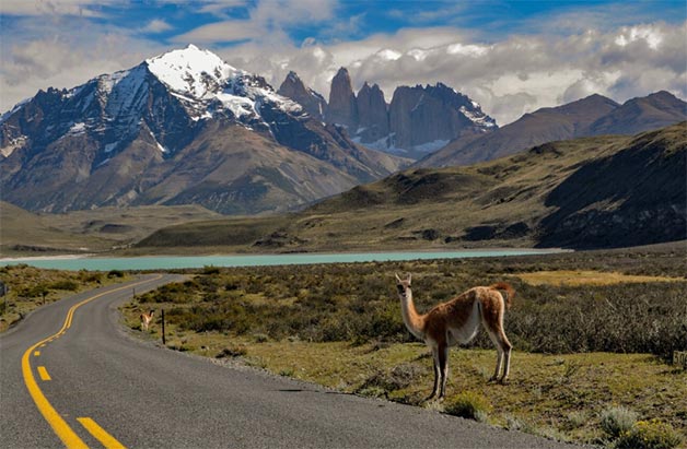 chile importers,chile import,chile importer chile importers,chile import,chile importer