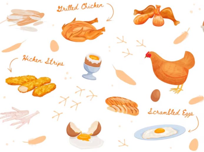chicken importers,chicken importer,top chicken importers chicken importers,chicken importer,top chicken importers