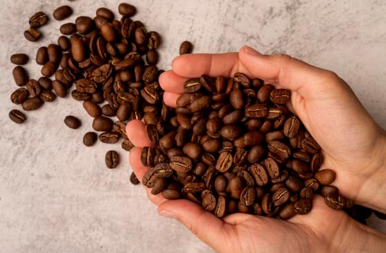 coffee bean importers,coffee bean importer,top coffee bean importers coffee bean importers,coffee bean importer,top coffee bean importers