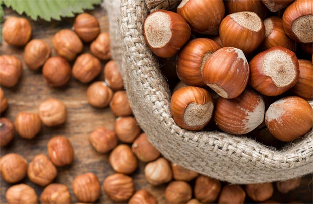 hazelnut exports,hazelnut export,hazelnut import hazelnut exports,hazelnut export,hazelnut import