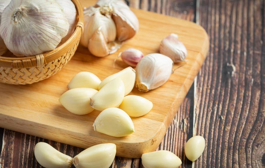 garlic export,garlic exports,garlic exporters garlic export,garlic exports,garlic exporters