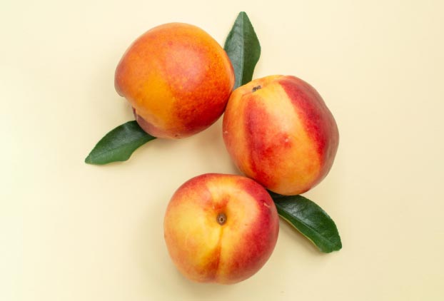 peaches export,peaches exports,peaches import,peaches imports peaches export,peaches exports,peaches import,peaches imports
