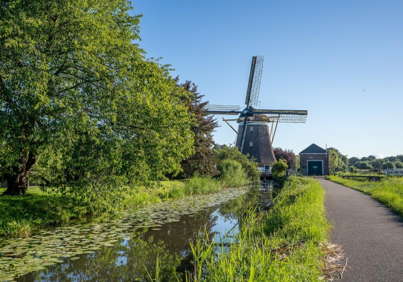 the netherlands import data,import data,netherlands import data the netherlands import data,import data,netherlands import data