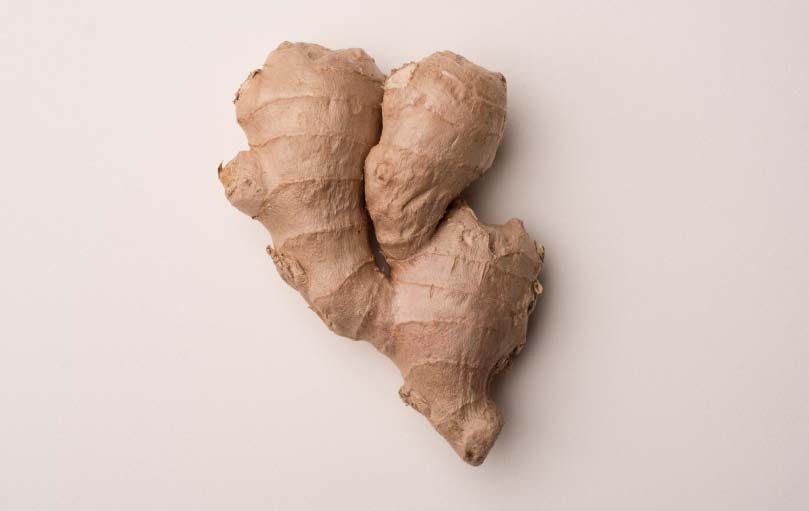 ginger export,ginger exporter,ginger exporters ginger export,ginger exporter,ginger exporters