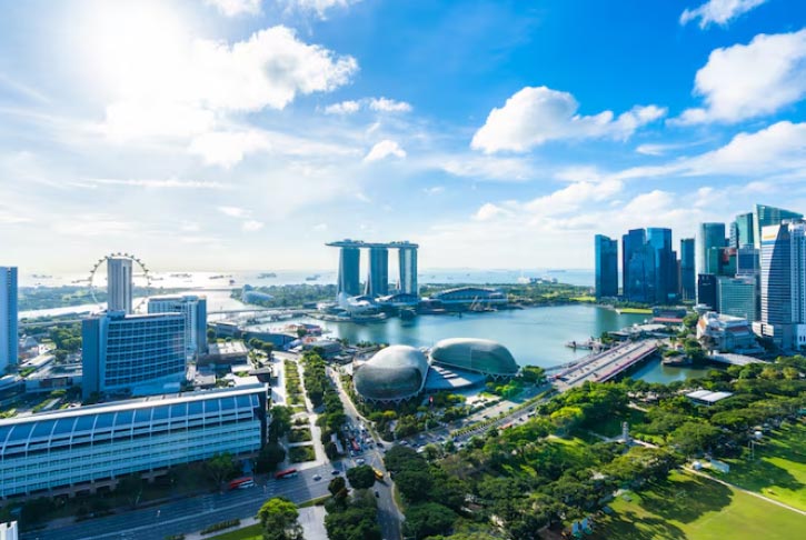 singapore importers,singapore importer,singapore import singapore importers,singapore importer,singapore import