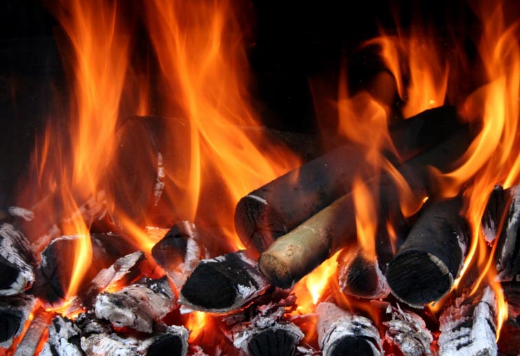 charcoal imports,charcoal import,global charcoal imports charcoal imports,charcoal import,global charcoal imports