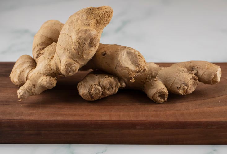 ginger importers,ginger import,ginger importer ginger importers,ginger import,ginger importer