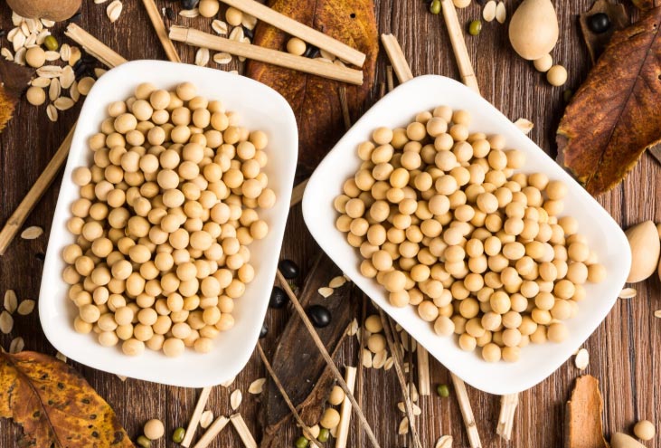 soy exporters,soy exporter,soy export soy exporters,soy exporter,soy export
