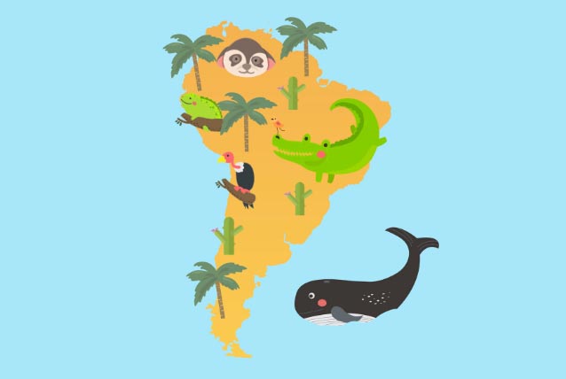 company directories,company directory,south america company directory company directories,company directory,south america company directory