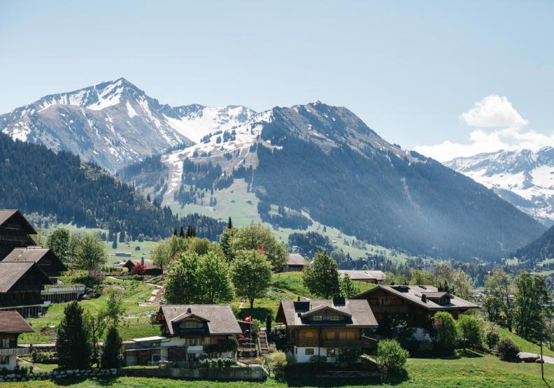 austria's import,austria's imports,austria import austria's import,austria's imports,austria import