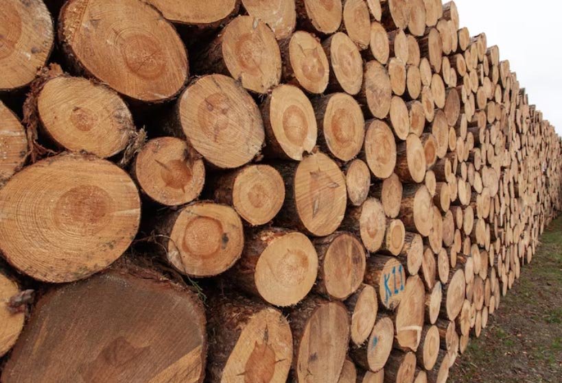 global import,import of wood,global import of wood global import,import of wood,global import of wood