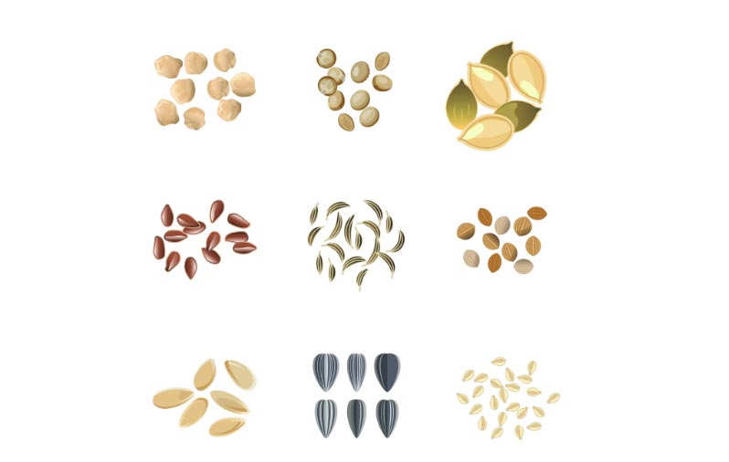 export seeds,export seed,global export seeds export seeds,export seed,global export seeds
