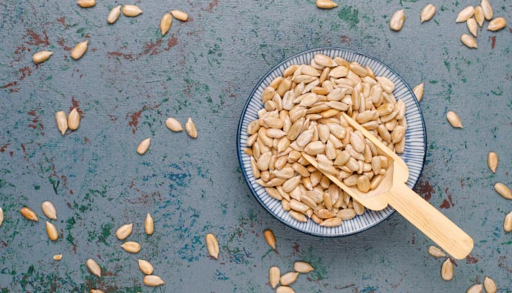 export seeds,export seed,exporting seed export seeds,export seed,exporting seed