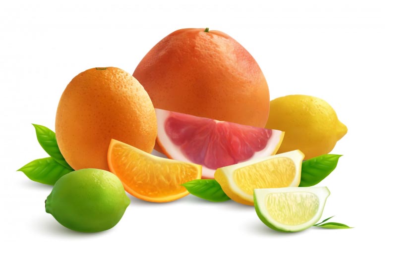 citrus importers,citrus importer,citrus import citrus importers,citrus importer,citrus import