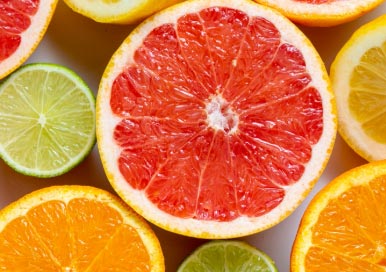 citrus import,citrus importer,citrus importers citrus import,citrus importer,citrus importers