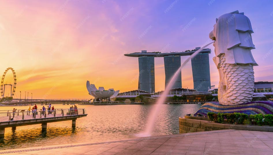 importer signaopre,import signapore,importing signapore importer signaopre,import signapore,importing signapore