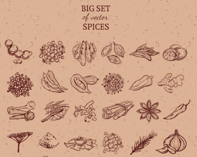 spices importer, spices import,spices importing spices importer, spices import,spices importing