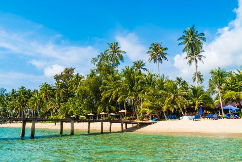 dominican export,dominican exports,dominican exporters dominican export,dominican exports,dominican exporters