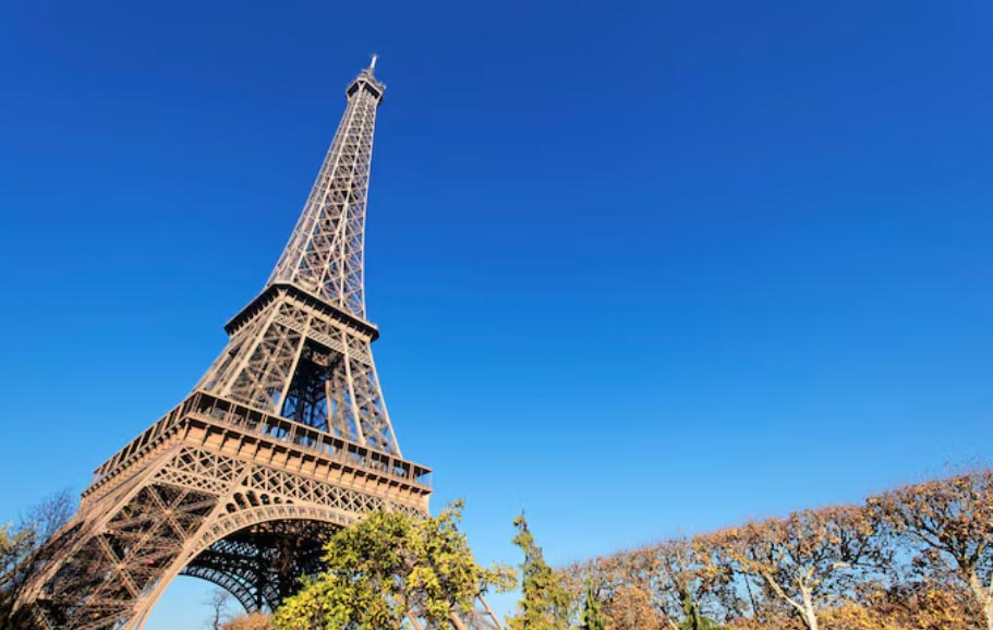 france major imprts, france major import, france major importer france major imprts, france major import, france major importer