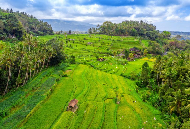 indonesia's import,indonesia's imports,indonesia import indonesia's import,indonesia's imports,indonesia import