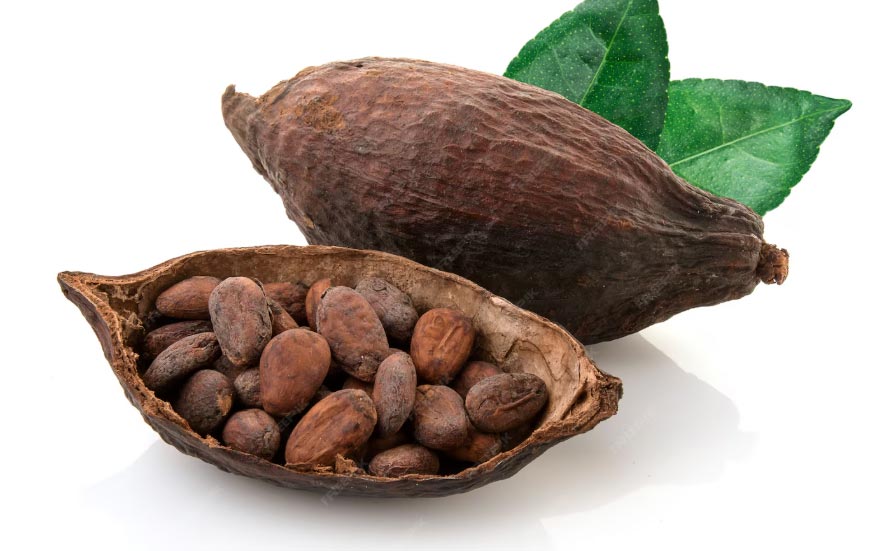 cocoa imports,cocoa imported,cocoa importing cocoa imports,cocoa imported,cocoa importing