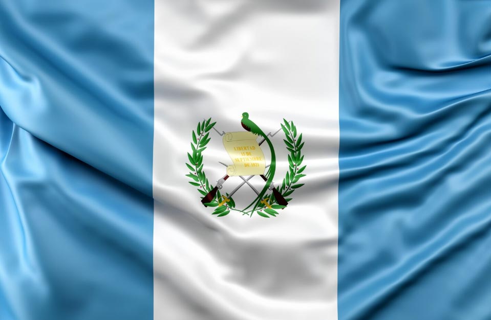 imports guatemala,import guatemala,importing guatemala