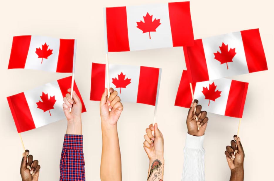 canada primary exports, canada primary exporters, canada primary exporting canada primary exports, canada primary exporters, canada primary exporting
