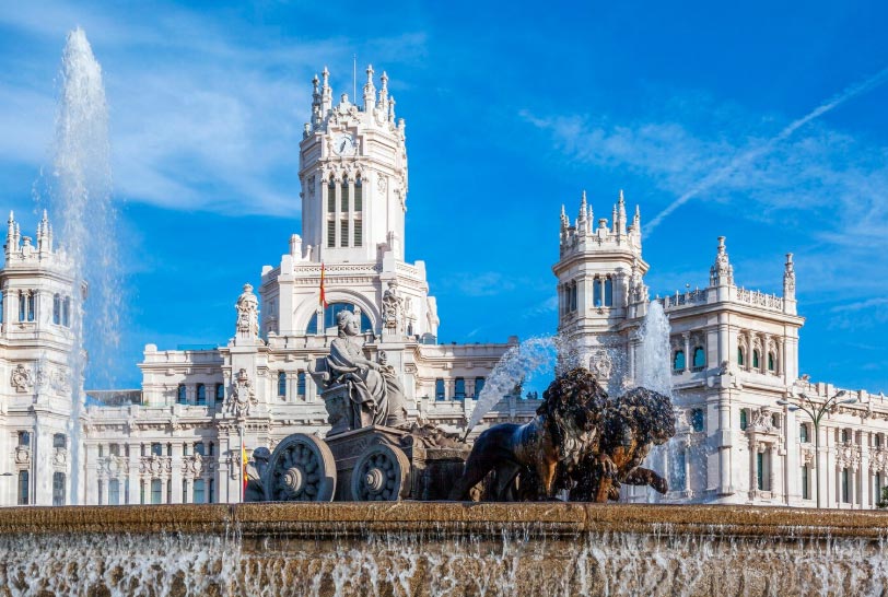 spain's imports,spain's import,spain import spain's imports,spain's import,spain import