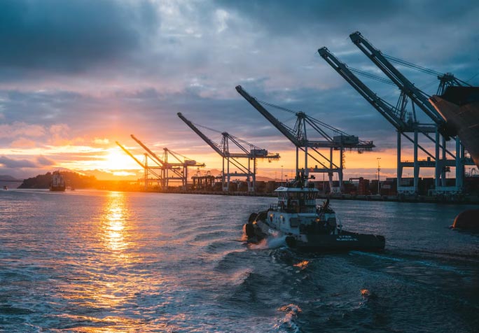 Petroleum Trading Companies Petroleum Trading Companies