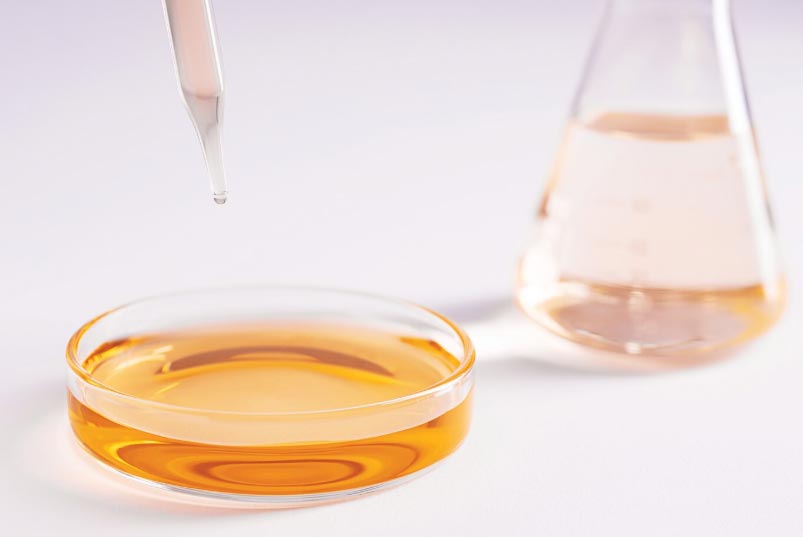Suppliers for Ethyl Vanillin Suppliers for Ethyl Vanillin