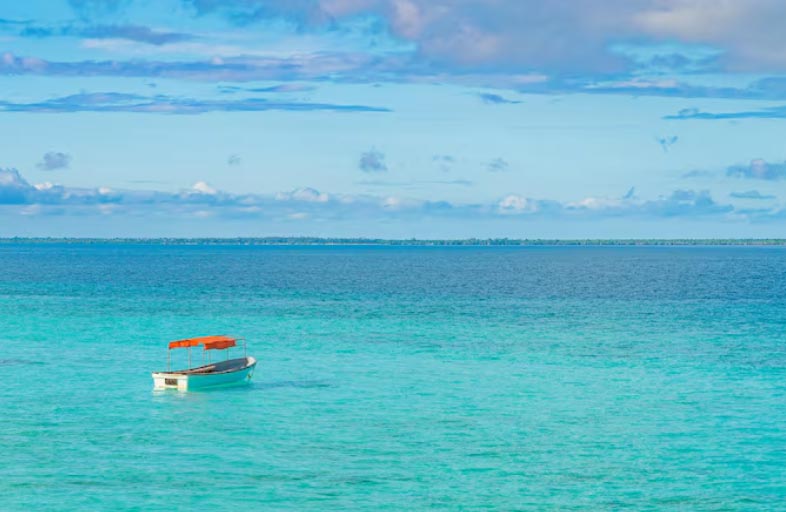 Caribbean Import and Export Businesses Caribbean Import and Export Businesses