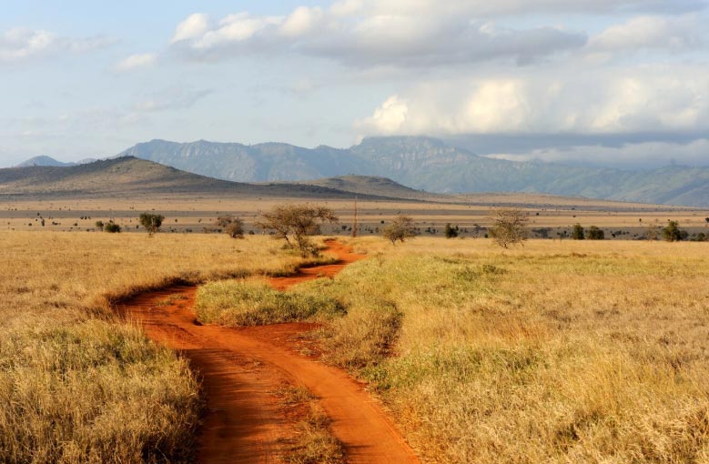 kenya's exports,kenya's export,kenya export kenya's exports,kenya's export,kenya export