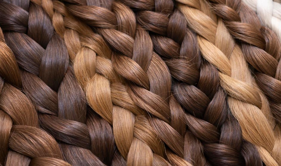 human hair export,human hair exports,global human hair exports human hair export,human hair exports,global human hair exports