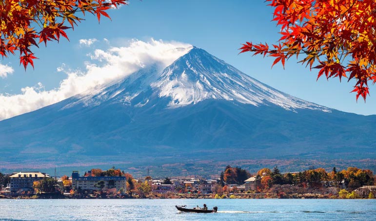 japanese importer, japanese importer data, japanese importers japanese importer, japanese importer data, japanese importers