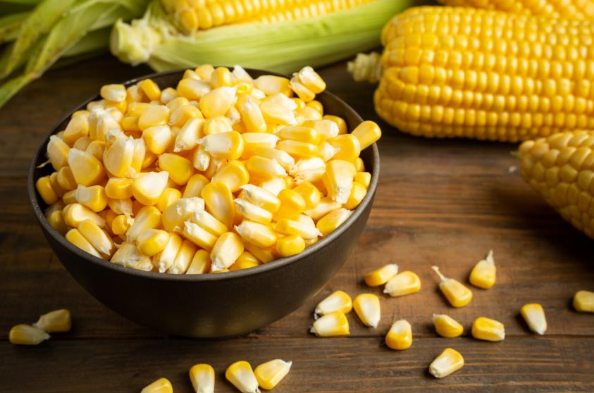 corn export,corn exports,corn exporters corn export,corn exports,corn exporters