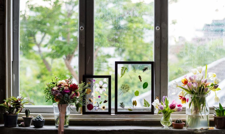 windows export spanish, export spanish, windows exports spanish windows export spanish, export spanish, windows exports spanish