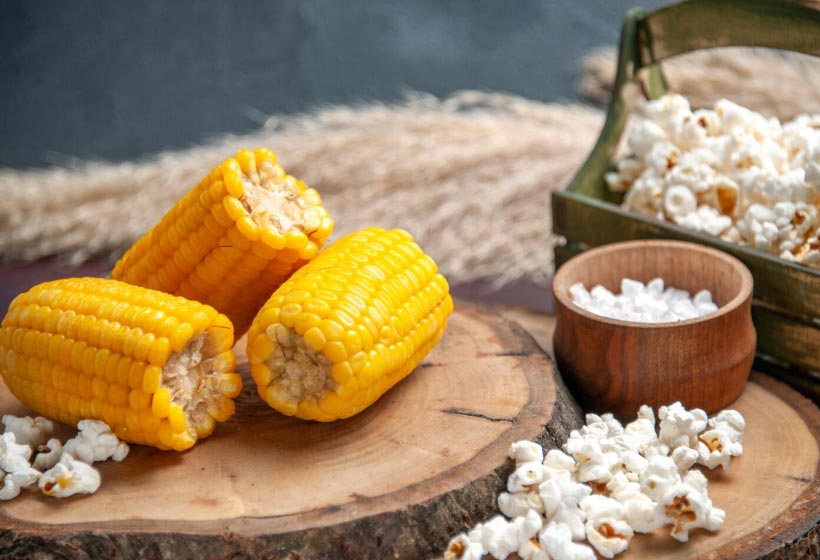 corn imports,corn import,corn importers corn imports,corn import,corn importers