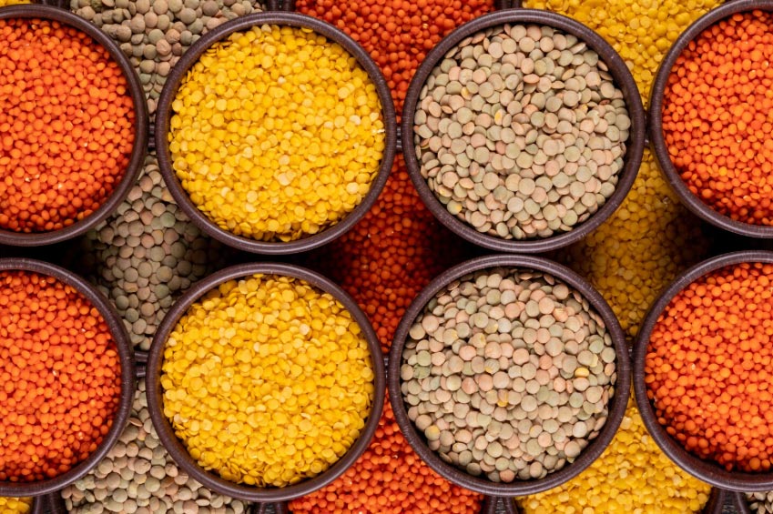 lentils export,lentils exports,lentils exporters lentils export,lentils exports,lentils exporters
