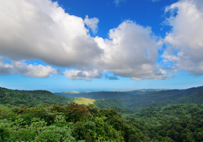 honduras export,honduras exports,honduras exporters honduras export,honduras exports,honduras exporters