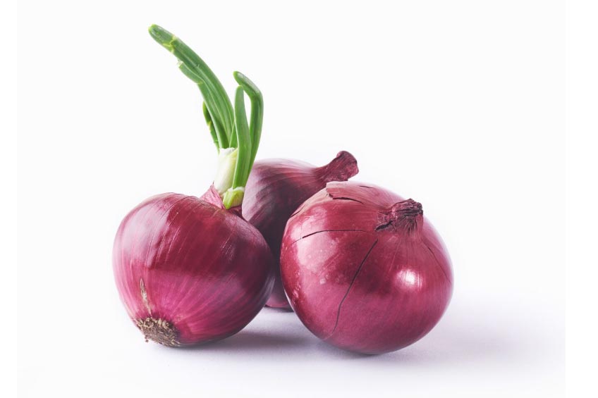 onion export,onion exports,global onion exports