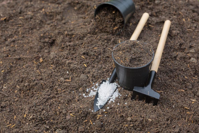 fertilizers import,fertilizers imports,global fertilizers imports