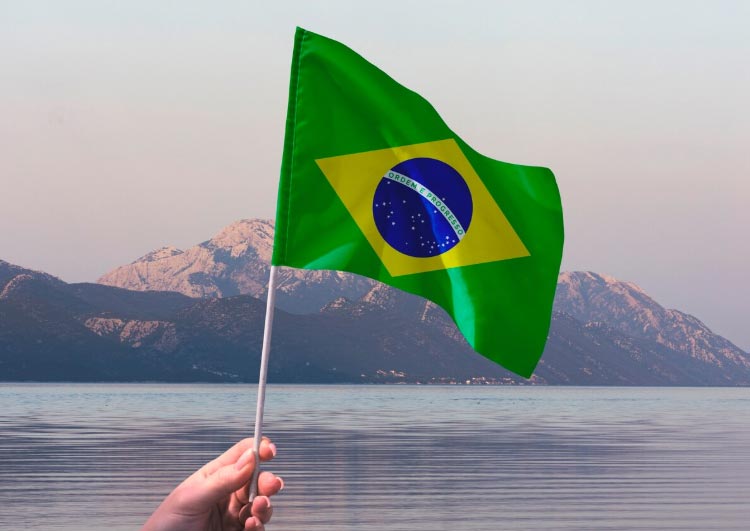 brazil export, brazil exports, brazil exports market