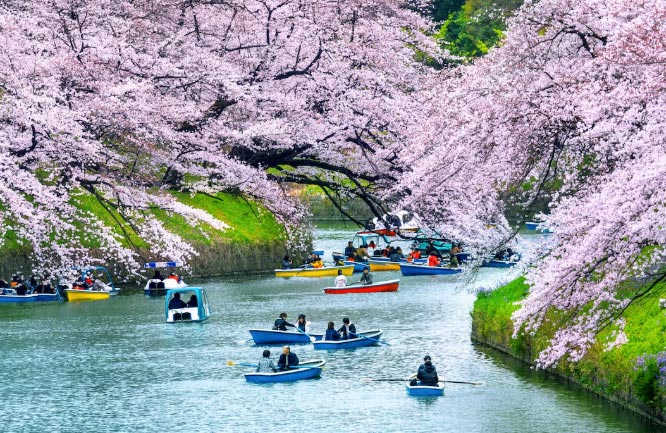 japan export, japan exports, japan exports market