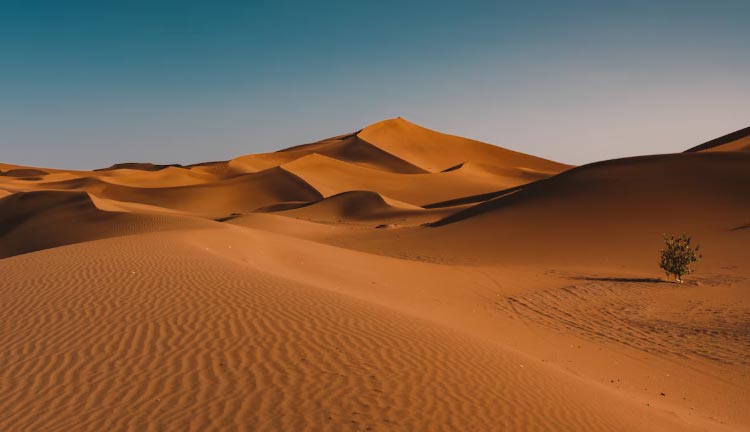 saudi arabia imports, saudi arabia import, saudi arabia imports market saudi arabia imports, saudi arabia import, saudi arabia imports market