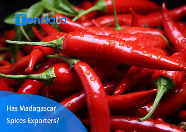 spices export,spices exporter,spices exporters spices export,spices exporter,spices exporters